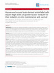 Research paper thumbnail of Human and mouse brain-derived endothelial cells require high levels of growth factors medium for their isolation, in vitro maintenance and survival