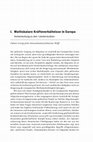 Research paper thumbnail of I. Multiskalare Kräfteverhältnisse in Europa