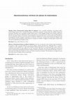 Research paper thumbnail of Transnational Fatwas on Jihad in Indonesia