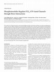 Research paper thumbnail of Phosphoinositides Regulate P2X4 ATP-Gated Channels through Direct Interactions