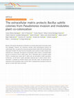 Research paper thumbnail of The extracellular matrix protects Bacillus subtilis colonies from Pseudomonas invasion and modulates plant co-colonization