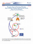 Research paper thumbnail of Playing Safe in Natural Waters: How to Protect Yourself from Naegleria fowleri When You Go Swimming