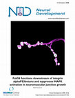 Research paper thumbnail of Fak56 functions downstream of integrin alphaPS3betanu and suppresses MAPK activation in neuromuscular junction growth