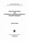 Research paper thumbnail of Protein tyrosine kinases and the regulation of signalling and adhesion in drosophila melanogaster