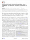 Research paper thumbnail of A transgenic Drosophila melanogaster model to study Human T-Lymphotropic Virus oncoprotein Tax-1-driven transformation in vivo