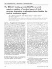 Research paper thumbnail of The BRCA-1 binding protein BRAP2 is a novel, negative regulator of nuclear import of viral proteins, dependent on phosphorylation flanking the nuclear localization signal