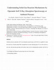 Research paper thumbnail of Understanding SolidGas Reaction Mechanisms by Operando Soft XRay Absorption Spectroscopy at Ambient Pressure