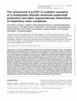 Research paper thumbnail of The cytochrome b p.278Y>C mutation causative of a multisystem disorder enhances superoxide production and alters supramolecular interactions of respiratory chain complexes