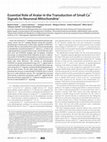 Research paper thumbnail of Essential Role of Aralar in the Transduction of Small Ca+ Signals to Neuronal Mitochondria