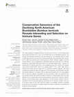 Research paper thumbnail of Conservation Genomics of the Declining North American Bumblebee Bombus terricola Reveals Inbreeding and Selection on Immune Genes