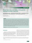 Research paper thumbnail of Endemic Papilionoideae of the Caatinga: a contribution to the palynological knowledge of Leguminosae