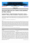 Research paper thumbnail of Structural inferences for Cholera toxin mutations in Vibrio cholerae