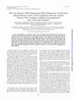 Research paper thumbnail of VP1, the Putative RNA-Dependent RNA Polymerase of Infectious Bursal Disease Virus, Forms Complexes with the Capsid Protein VP3, Leading to Efficient Encapsidation into Virus-Like Particles