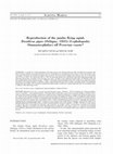 Research paper thumbnail of Reproduction of the jumbo flying squid, Dosidicus gigas (Orbigny, 1835)(Cephalopoda: Ommastrephidae) off Peruvian coasts