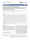 Research paper thumbnail of Structural basis of lignocellulose deconstruction by the wood-feeding anobiid beetle Nicobium hirtum