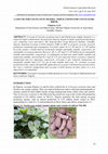 Research paper thumbnail of Land use for cocoyam in Nigeria: implications for cocoyam re-birth