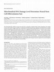 Research paper thumbnail of Mitochondrial DNA Damage Level Determines Neural Stem Cell Differentiation Fate