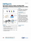 Research paper thumbnail of Synergistic Actions of Ogg1 and Mutyh DNA Glycosylases Modulate Anxiety-like Behavior in Mice