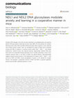 Research paper thumbnail of NEIL1 and NEIL2 DNA glycosylases modulate anxiety and learning in a cooperative manner in mice