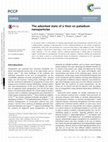 Research paper thumbnail of The adsorbed state of a thiol on palladium nanoparticles