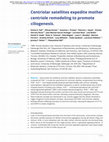 Research paper thumbnail of Centriolar satellites expedite mother centriole remodeling to promote ciliogenesis