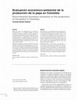 Research paper thumbnail of Evaluación económico-ambiental de la producción de la papa en Colombia