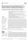 Research paper thumbnail of Phytoextraction of Lead Using a Hedge Plant [Alternanthera bettzickiana (Regel) G. Nicholson]: Physiological and Biochemical Alterations through Bioresource Management