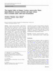 Research paper thumbnail of The tropical white rot fungus, Lentinus squarrosulus Mont.: lignocellulolytic enzymes activities and sugar release from cornstalks under solid state fermentation