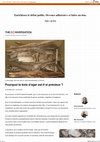 Research paper thumbnail of Pourquoi le bois d'agar est-il si précieux ?