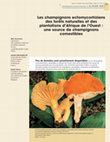 Research paper thumbnail of Les champignons ectomycorhiziens des forêts naturelles et des plantations d'Afrique de l'Ouest : une source de champignons comestibles