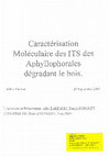 Research paper thumbnail of Caractérisation moléculaire des ITS des aphyllophorales dégradant le bois