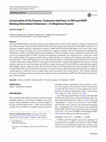 Research paper thumbnail of Conservation of the Enzyme-Coenzyme Interfaces in FAD and NADP Binding Adrenodoxin Reductase-A Ubiquitous Enzyme