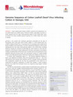 Research paper thumbnail of Genome Sequence of Cotton Leafroll Dwarf Virus Infecting Cotton in Georgia, USA