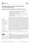 Research paper thumbnail of Gray Matter Changes in Juvenile Myoclonic Epilepsy. A Voxel-Wise Meta-Analysis