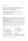 Research paper thumbnail of Expression of Matrix Metalloproteinases in Human Breast Cancer Tissues