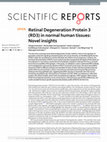 Research paper thumbnail of Retinal Degeneration Protein 3 (RD3) in normal human tissues: Novel insights