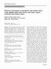 Research paper thumbnail of Patterns of investment in reproductive and somatic tissues in the loliginid squid Loligo forbesii and Loligo vulgaris in Iberian and Azorean waters