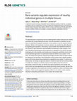 Research paper thumbnail of Rare variants regulate expression of nearby individual genes in multiple tissues