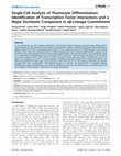 Research paper thumbnail of Single-Cell Analysis of Thymocyte Differentiation: Identification of Transcription Factor Interactions and a Major Stochastic Component in Î±Î²-Lineage Commitment