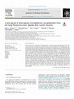 Research paper thumbnail of A new species of fossil guenon (Cercopithecini, Cercopithecidae) from the Early Pleistocene Lower Ngaloba Beds, Laetoli, Tanzania