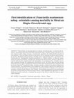 Research paper thumbnail of First identification of Francisella noatunensis subsp. orientalis causing mortality in Mexican tilapia Oreochromis spp