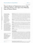 Research paper thumbnail of Natural infection of Trypanosoma cruzi in a dog with heart lesions: a case report from Malinalco, State of Mexico, Mexico