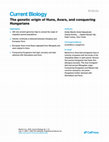 Research paper thumbnail of Maróti, Z. et al.: The genetic origin of Huns, Avars and conquering Hungarians