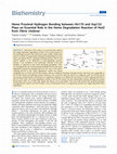 Research paper thumbnail of Heme Proximal Hydrogen Bonding between His170 and Asp132 Plays an Essential Role in the Heme Degradation Reaction of HutZ from Vibrio cholerae