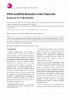 Research paper thumbnail of PROD and BROD Modulation in Nile Tilapia after Exposure to 17 β-estradiol