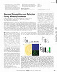 Research paper thumbnail of Neuronal Competition and Selection During Memory Formation