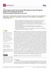 Research paper thumbnail of Chaetomium and Chaetomium-like Species from European Indoor Environments Include Dichotomopilus finlandicus sp. nov