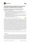 Research paper thumbnail of A Composite Bioinoculant Based on the Combined Application of Beneficial Bacteria and Fungi