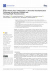 Research paper thumbnail of Pulse-Atomic Force Lithography: A Powerful Nanofabrication Technique to Fabricate Constant and Varying-Depth Nanostructures