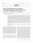 Research paper thumbnail of Effect of Monoamine Oxidase Gene Knockout on Dopamine Metabolism in Mouse Brain Structures